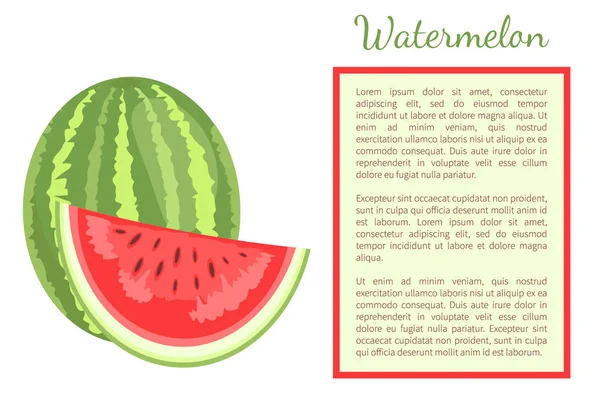 Watermelon Citron Melon Berry Ripe Tropical Fruit — Stock Vector