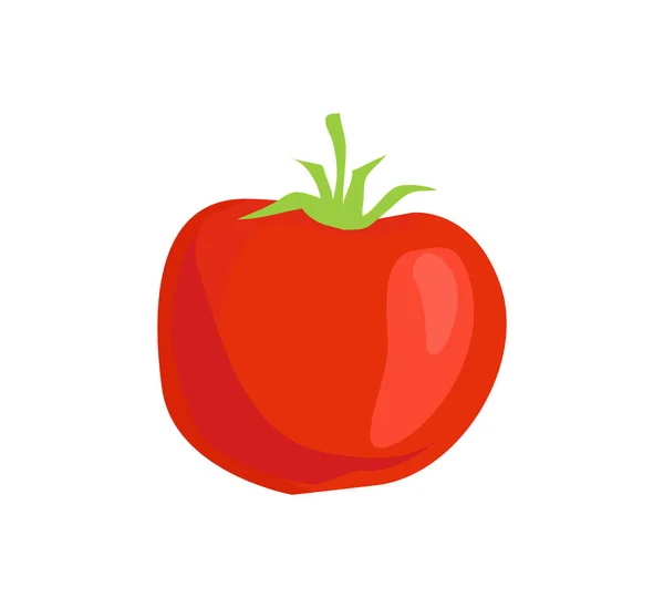 Rote Tomate isolierte Vektor-Symbol im Cartoon-Stil — Stockvektor