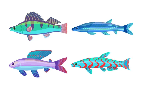 Mackerel Blue Fish Fauna Set Ilustração vetorial —  Vetores de Stock