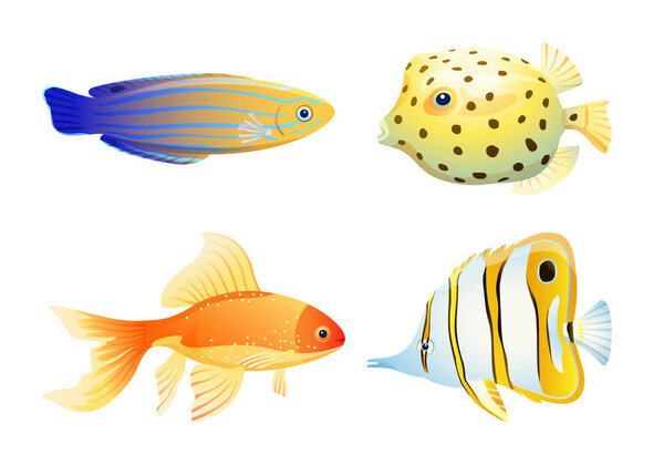 Maritime Poster with Diverse Aquarium Fish Specie