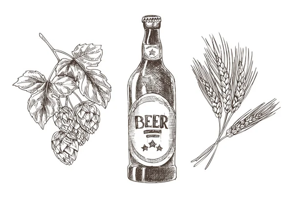 Bouquets de houblon et de blé Ingrédients isolés de la bière — Image vectorielle