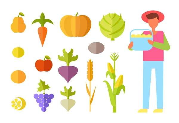 Panen Sayuran Petani Set Ilustrasi Vektor - Stok Vektor