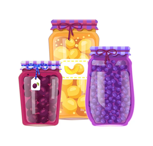 Fruta conservada en frascos de vidrio Vector Ilustración — Vector de stock