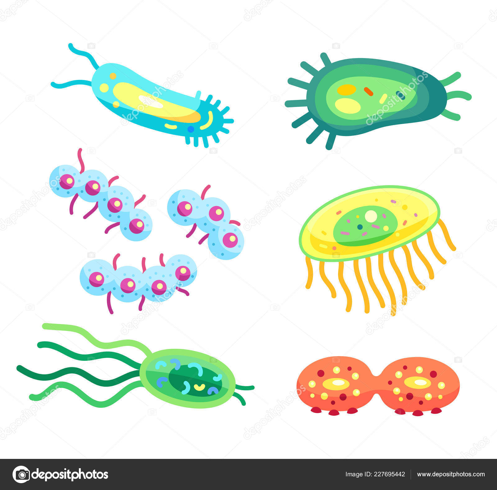 Conjunto de vírus e bactérias fofos de desenho animado isolado no