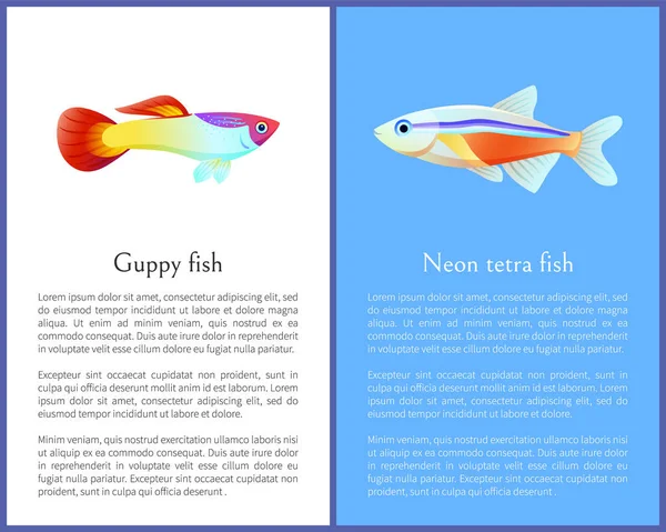 Guppy und Neon Tetra Fische isoliert auf weißen Symbolen — Stockvektor