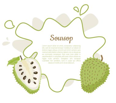 Soursop bütün ve kesilmiş meyve soyut çerçeve metin
