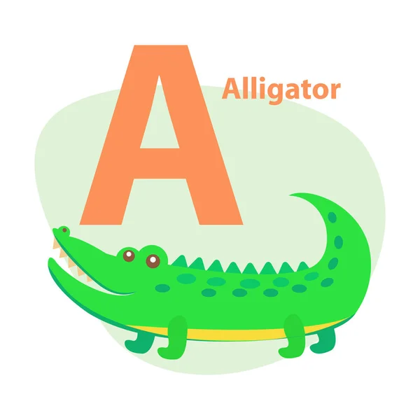 Zoológico ABC Carta com bonito crocodilo Cartoon Vector — Vetor de Stock