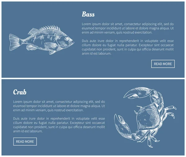Bassfische und Krabben Poster setzen Vektorillustration — Stockvektor