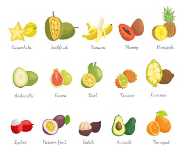 Lychee ve Carambola avokado küme adları vektör