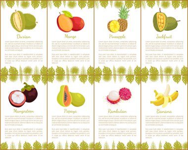Durian ve Mangosteen dilimleri posterler vektör ayarla