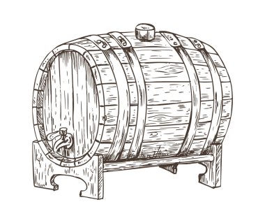 Bira varil Vintage fıçı Sketch vektör çizim
