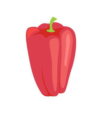 Biber ham taze sebze vektör çizim