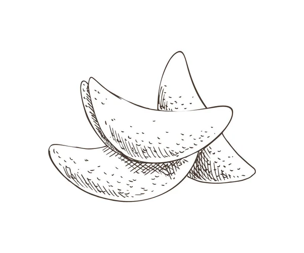 Chip stekt potatis monokrom vektorillustration — Stock vektor