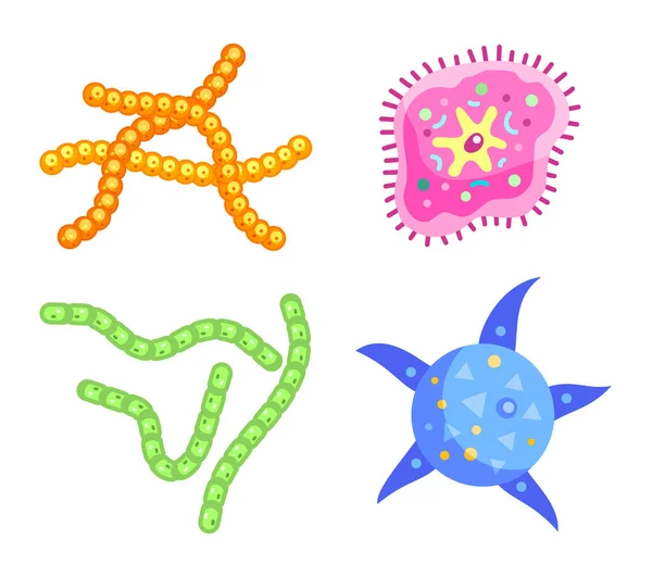 Verschilde gevormde ans Sized bacteriën of Microbe — Stockvector