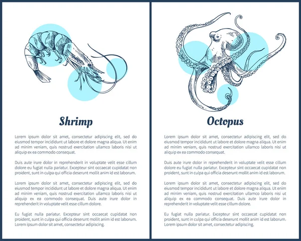 Camarão e Octopus Seafood Vector Ilustração — Vetor de Stock