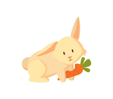 Bunny Havuç Veggie şirin yaratık izole ile