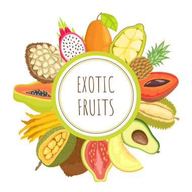 Egzotik meyve Papaya Mamey Pitaya Poster vektör