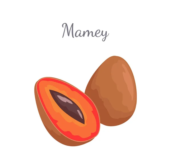 Mamey Exotic Juicy Fruit Vector Whole and Cut Icon - Stok Vektor