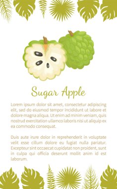 Şeker-elma, Sweetsop muhallebi Apple Poster metin