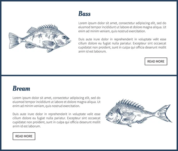 Basse et Bream Seafood Set vectoriel Icônes Vintage — Image vectorielle