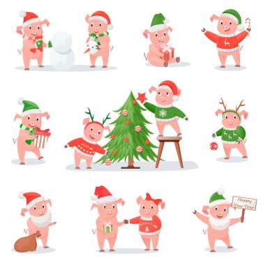 Domuz yeni yıl 2019 sembolü olarak Noel şapkalı