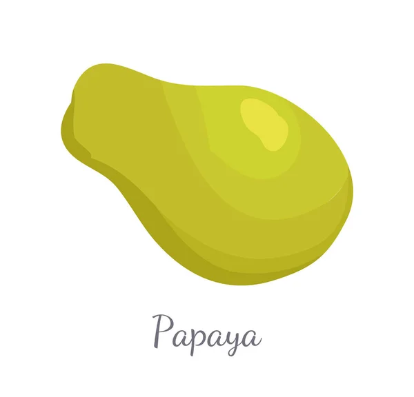 Papaya Exotic Fruit Vector Isolado. Pawpaw papoula — Vetor de Stock