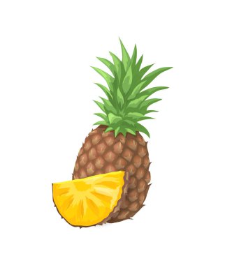 Ananas tropikal meyve simge vektör çizim