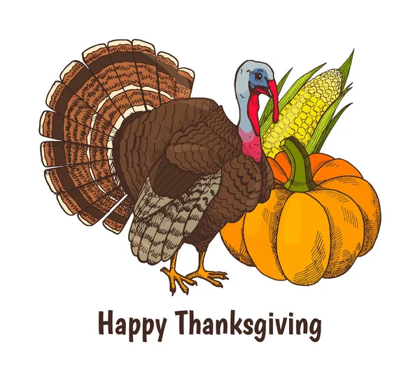 Happy Thanksgiving Poster Turquie vecteur animal — Image vectorielle