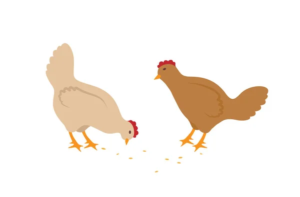 Dwie Kury Jedzenie Nasion Wektorowe Ikony Stylu Cartoon Blady Ptactwa — Wektor stockowy
