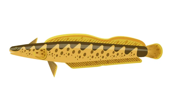 ニジマス オレンジ色の魚のベクトル図 — ストックベクタ