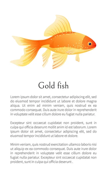 Roter Goldfisch Aquarienfisch isoliert auf weißem. — Stockvektor