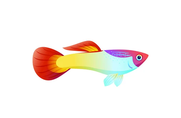 Разноцветная морская рыба, изолированная на белом плакате — стоковый вектор