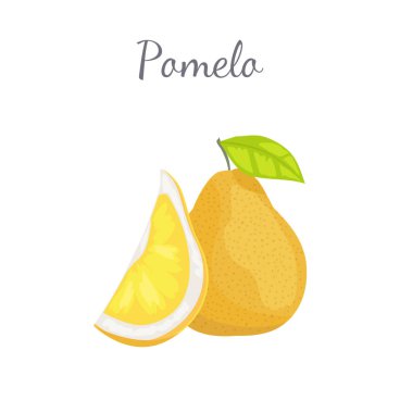 Pomelo egzotik meyve vektör tropikal gıda simgesi