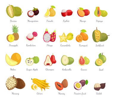 Sugar Apple and Guava Set Vector Illustration clipart