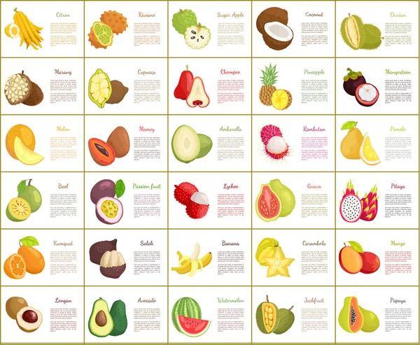 Collecte D'aliments Isolée En Cercles, Repas Sain Avec Vitamines