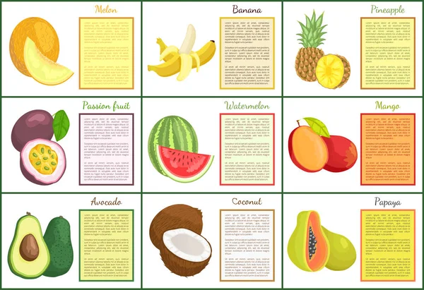 Set de carteles de sandía de melón y plátano Vector — Archivo Imágenes Vectoriales