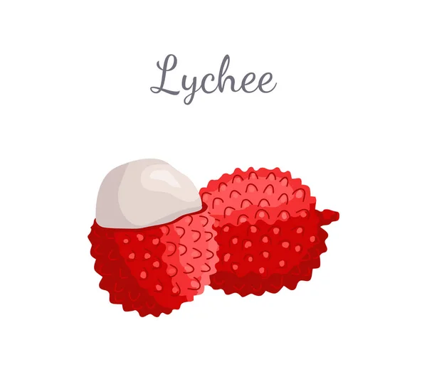 Lychee Suculento Exótico Fruto Vector Litchi Liechee —  Vetores de Stock