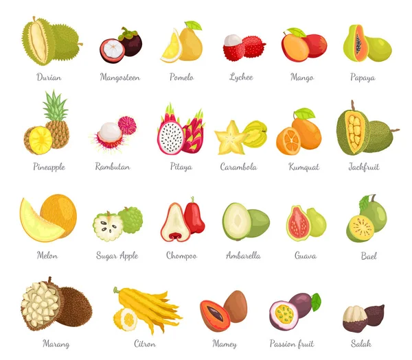 Azúcar Manzana y Guayaba Set Vector Ilustración — Archivo Imágenes Vectoriales
