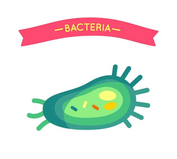 Bacterias Poster Cell Primer plano Vector Ilustración — Vector de stock