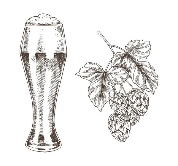 ホップのブランチ、ビール杯ベクトル図 — ストックベクタ