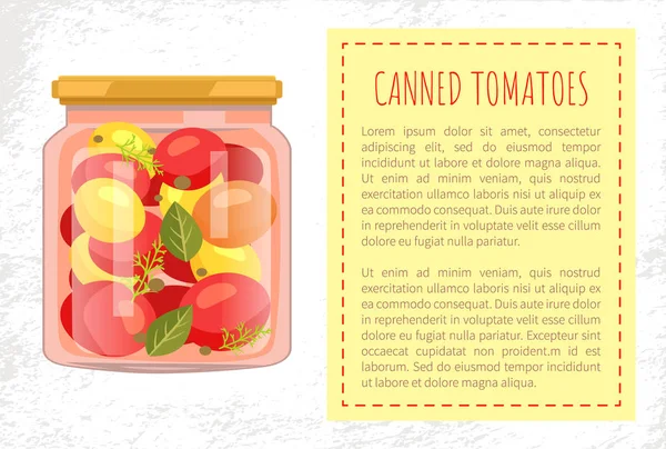 Póster de tarro de tomates enlatados Vector Ilustración — Vector de stock
