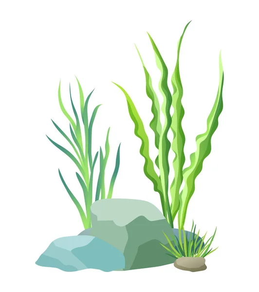 Plantas acuáticas con piedras Vector Ilustración — Vector de stock