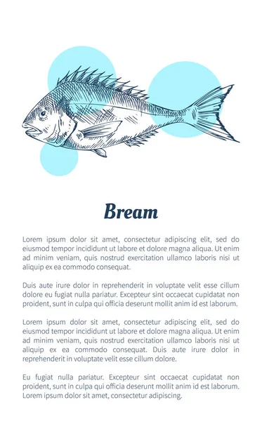 Brassen Fisch Meeresfrüchte Vektor handgezeichnete Illustration — Stockvektor