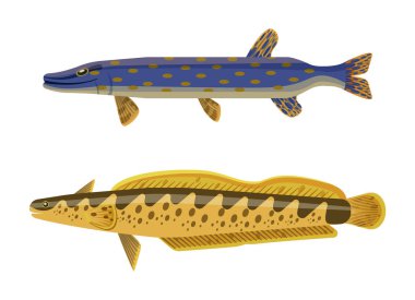 Yırtıcı balık ve yayın balığı vektör çizim