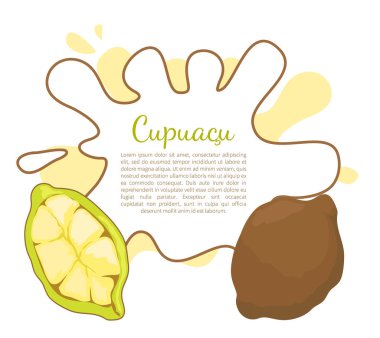 Cupuacu egzotik Cupuassu, Cupuazu ve Copoasu