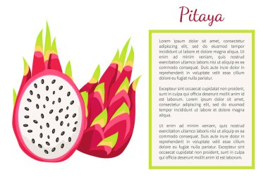 Pitaya Pitahaya egzotik sulu meyve vektör Poster