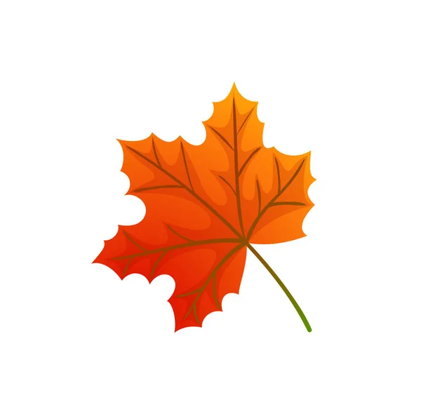 Esdoorn bladeren en herfst symbool geïsoleerde Icon Vector — Stockvector