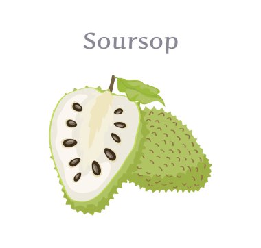 Soursop bütün ve kesilmiş meyve yenilebilir bitki vektör