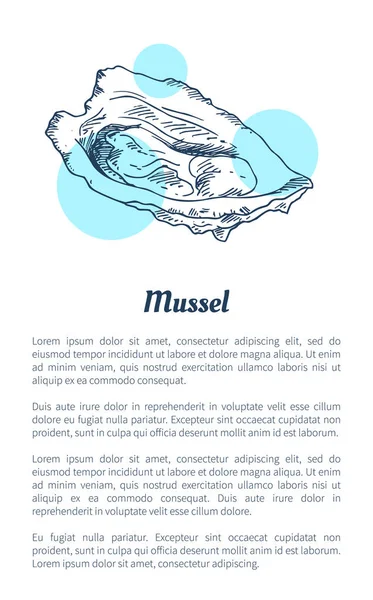 Mussel Marine Creature Hand Drawn Poster with Text — Stock Vector