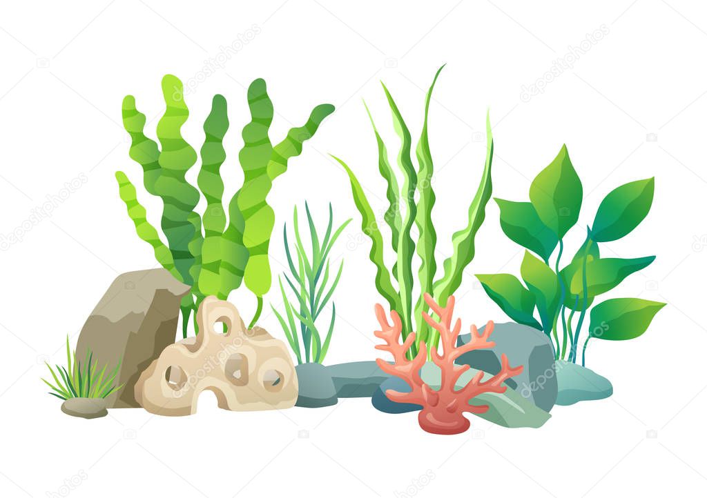 Green Vegetation of Deep Sea Vector Illustration